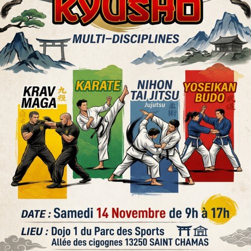 découverte Kyusho DKI